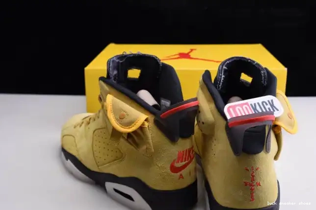 Reps LUCY YELLOW X JORDAN SCOTT AIR 6 CN1084-300 TRAVIS 0511